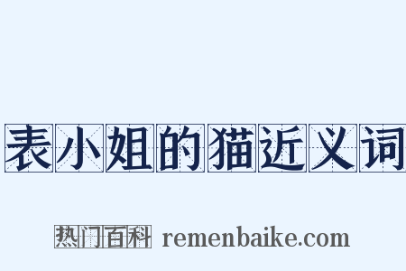 表小姐的猫近义词是什么意思的图片